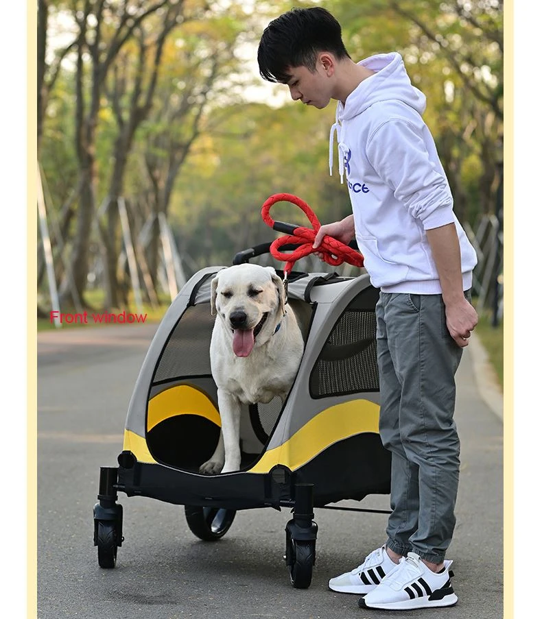special needs pushchair