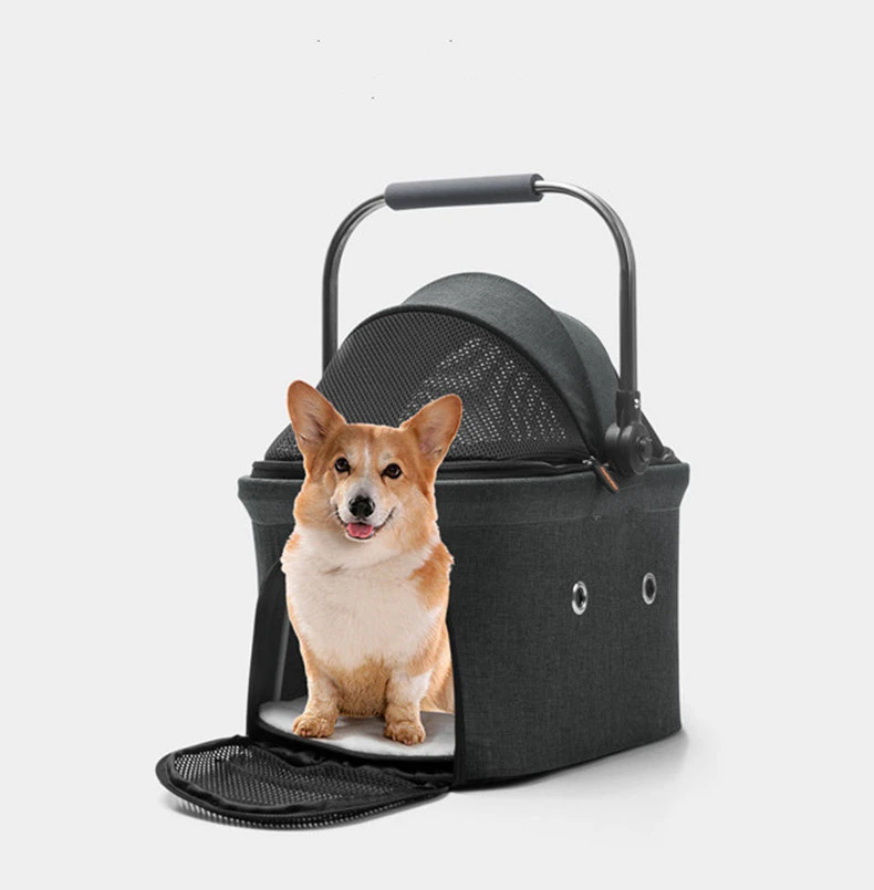 cardboard pet carrier